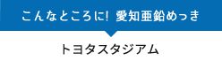 トヨタスタジアムにも愛知亜鉛めっき